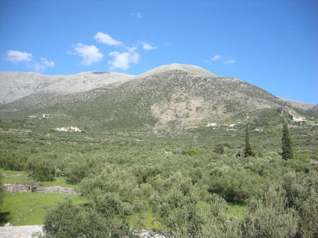 Kafiona Guesthouse Pírgos Dhiroú Bagian luar foto